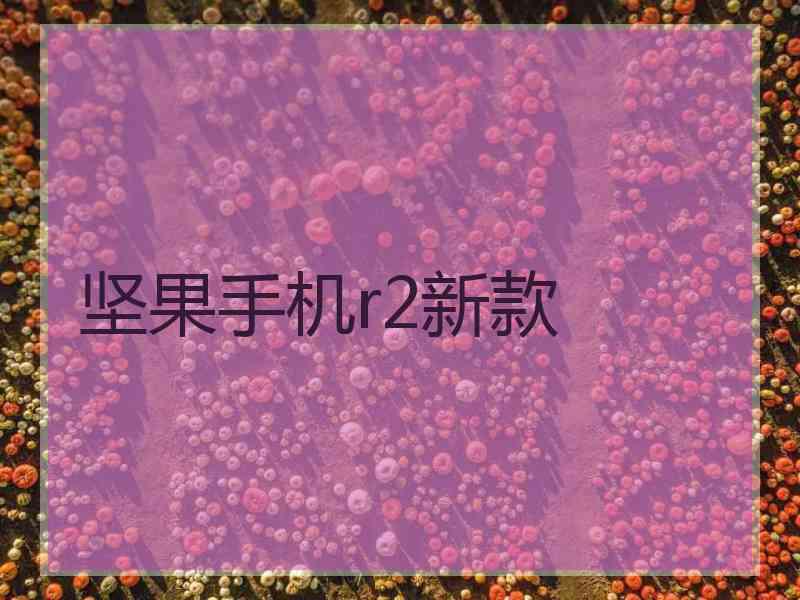 坚果手机r2新款