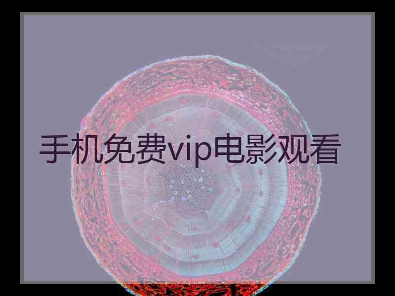 手机免费vip电影观看