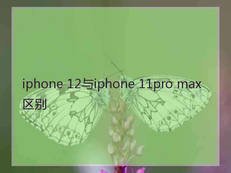 iphone 12与iphone 11pro max区别