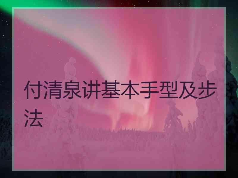 付清泉讲基本手型及步法