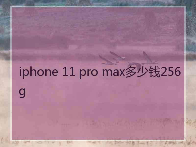 iphone 11 pro max多少钱256g