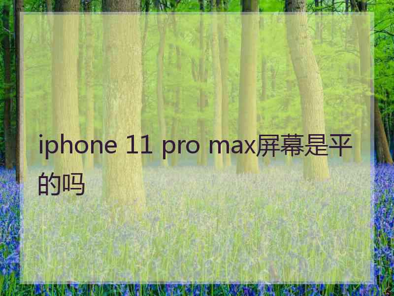 iphone 11 pro max屏幕是平的吗