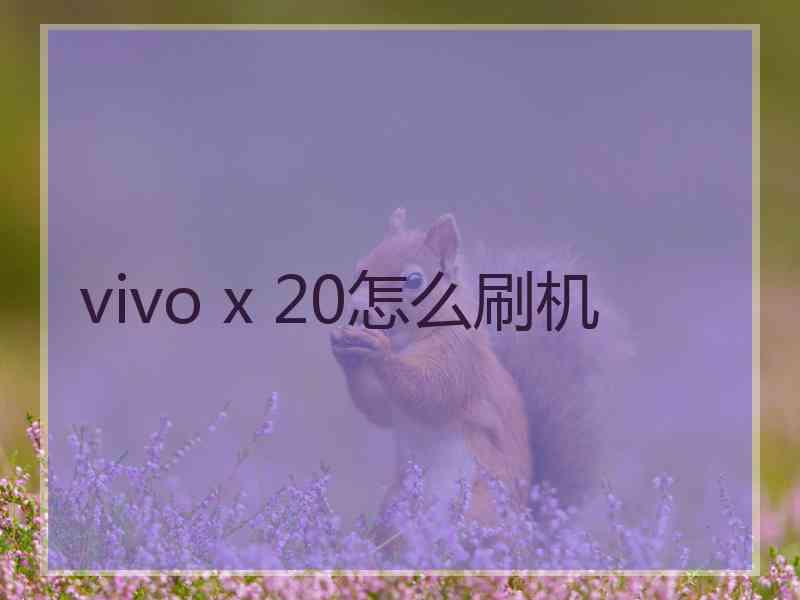 vivo x 20怎么刷机