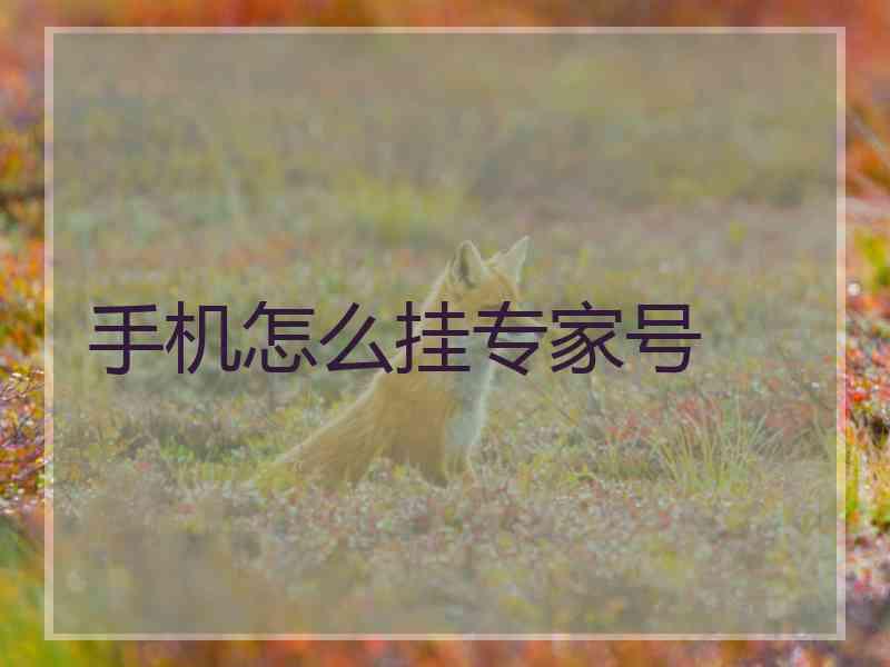 手机怎么挂专家号