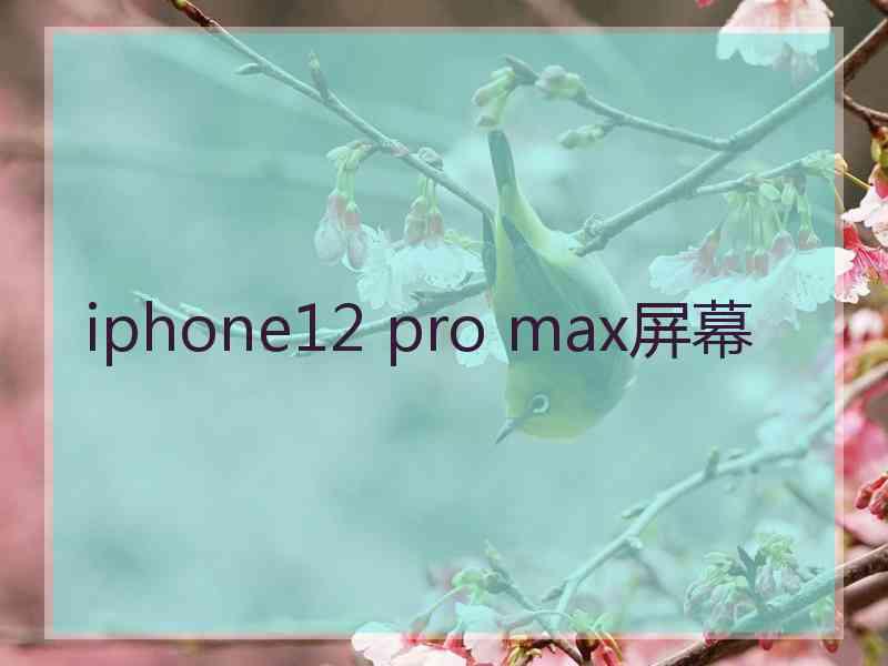 iphone12 pro max屏幕