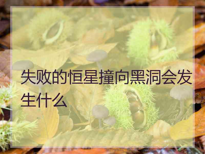 失败的恒星撞向黑洞会发生什么