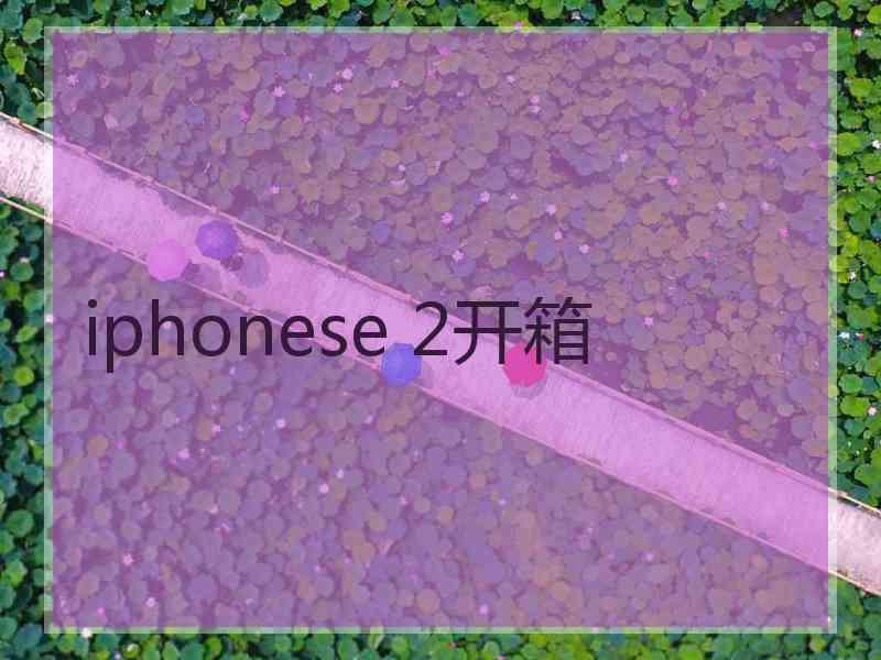 iphonese 2开箱