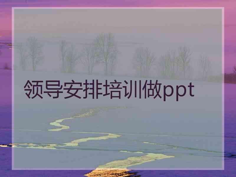 领导安排培训做ppt