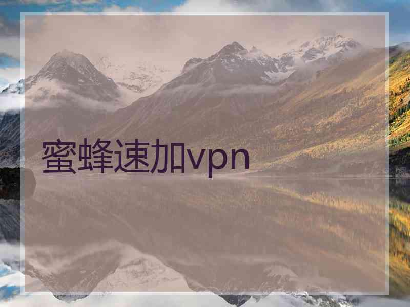 蜜蜂速加vpn