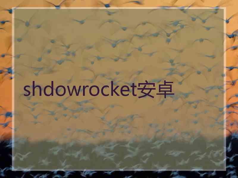 shdowrocket安卓