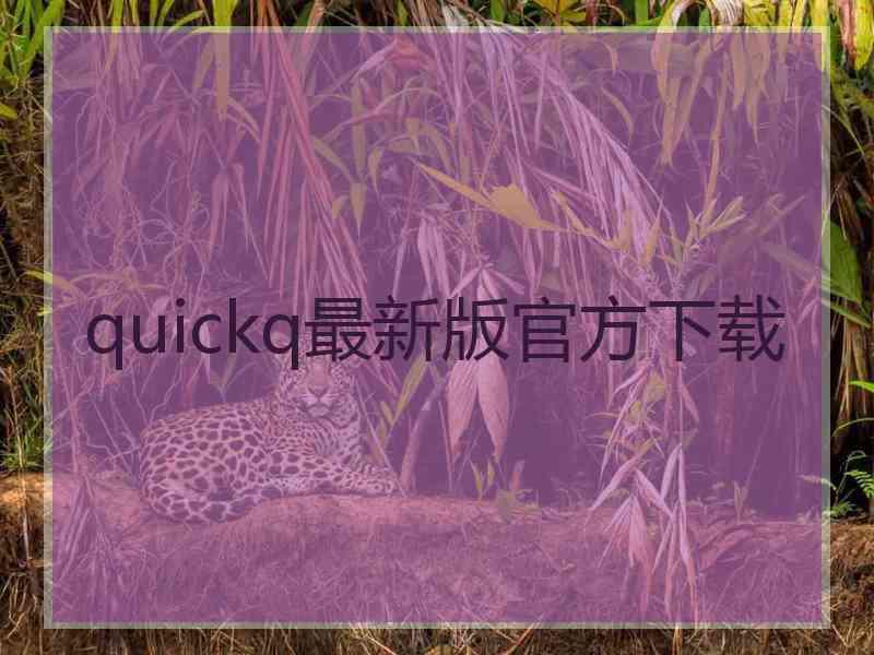 quickq最新版官方下载