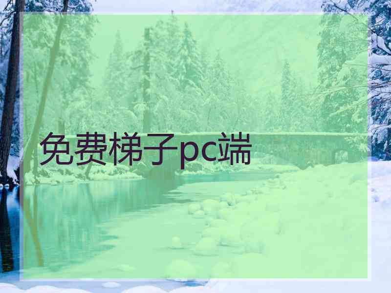 免费梯子pc端