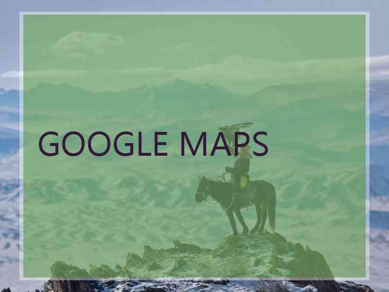 GOOGLE MAPS