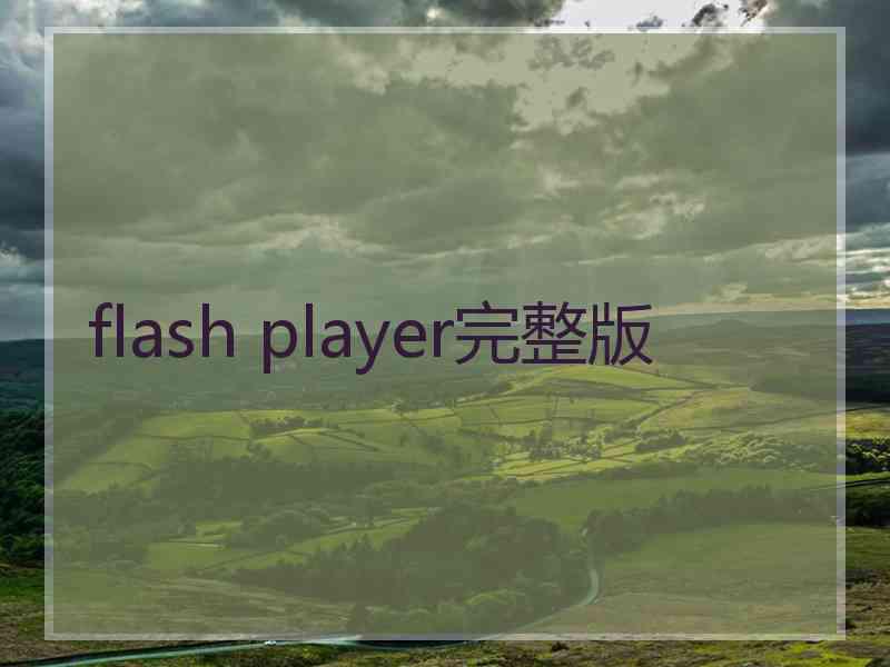 flash player完整版