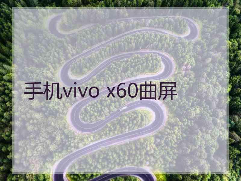 手机vivo x60曲屏