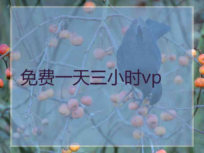 免费一天三小时vp