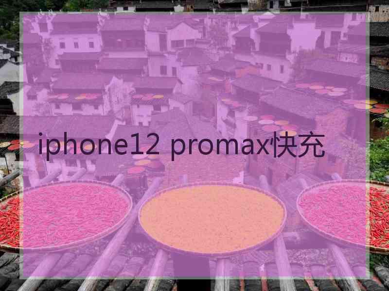 iphone12 promax快充