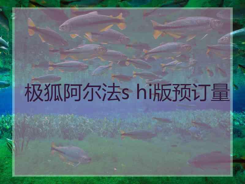 极狐阿尔法s hi版预订量