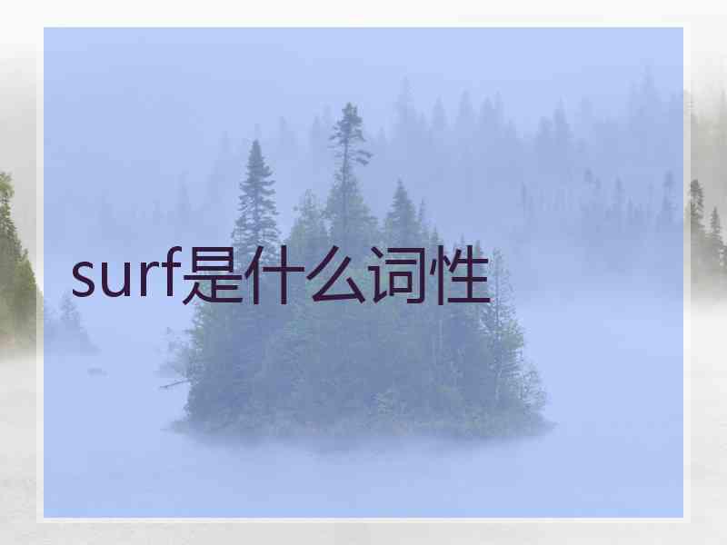 surf是什么词性