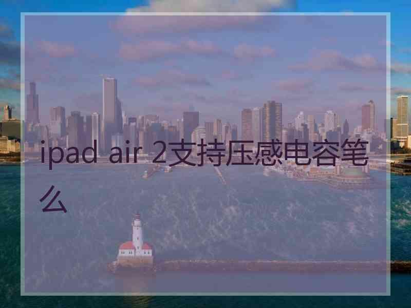 ipad air 2支持压感电容笔么