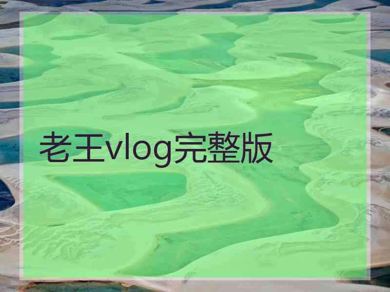 老王vlog完整版