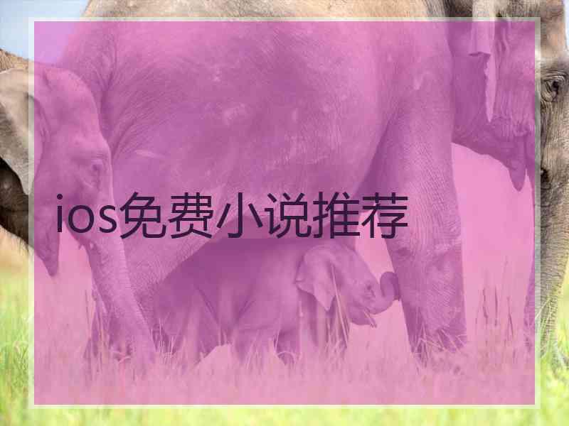 ios免费小说推荐