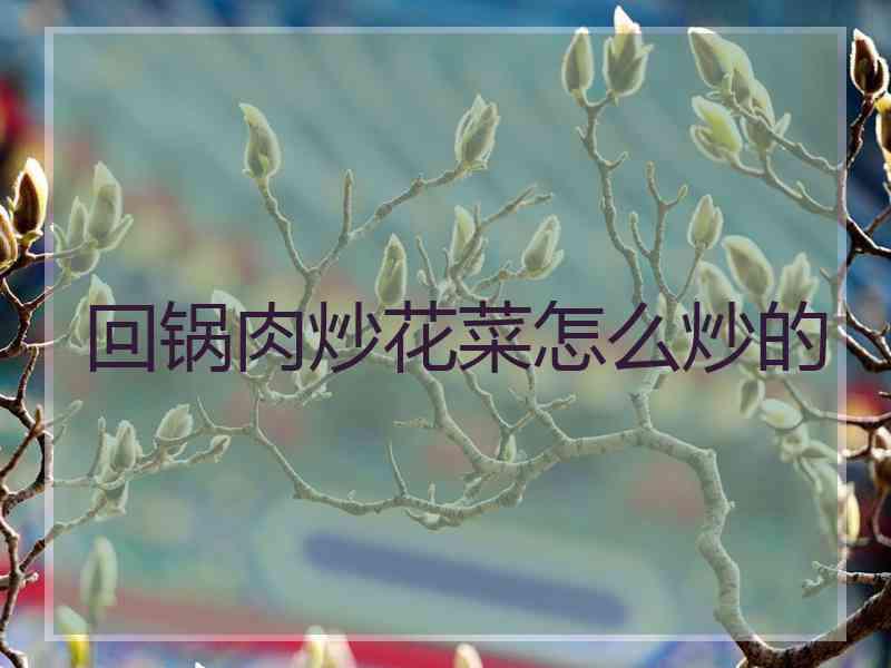 回锅肉炒花菜怎么炒的