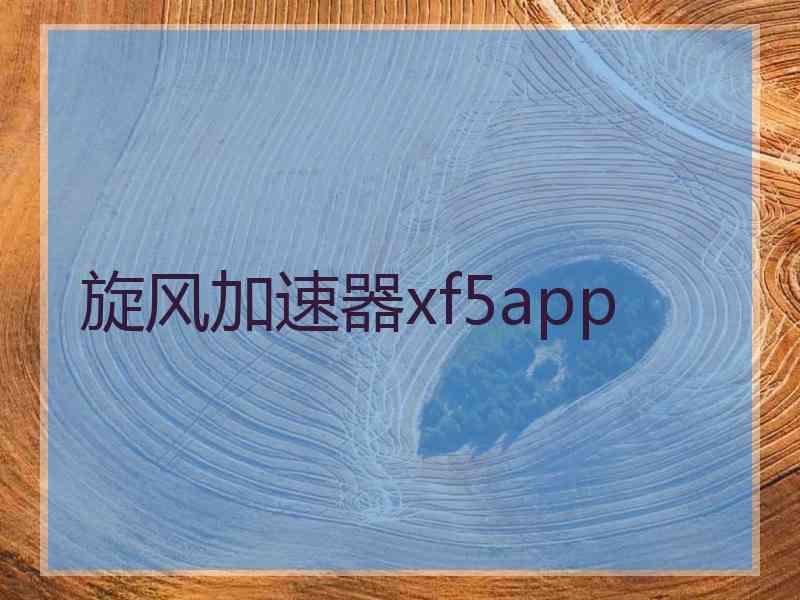 旋风加速器xf5app