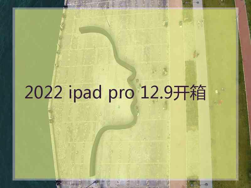 2022 ipad pro 12.9开箱