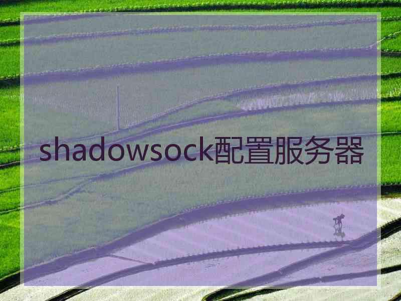 shadowsock配置服务器