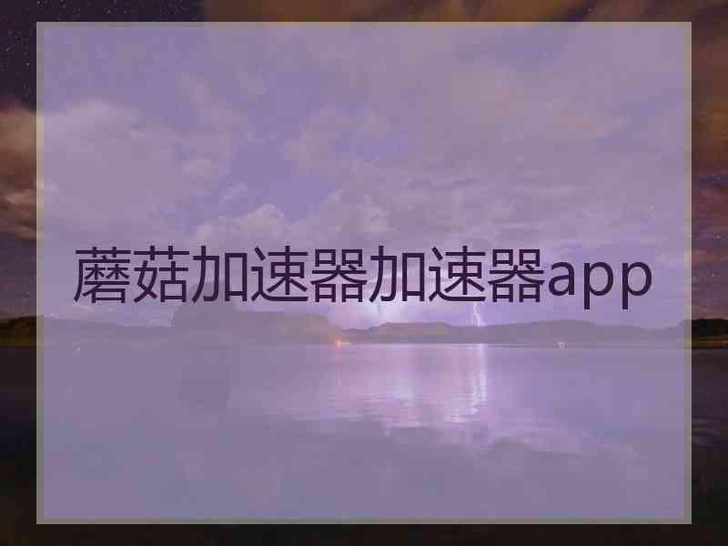 蘑菇加速器加速器app