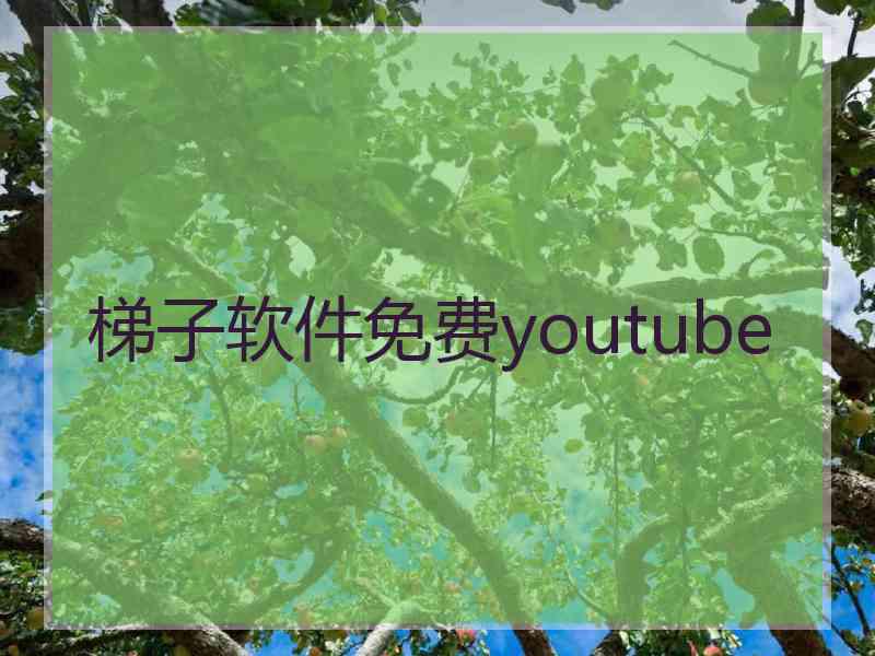 梯子软件免费youtube