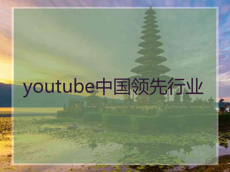 youtube中国领先行业