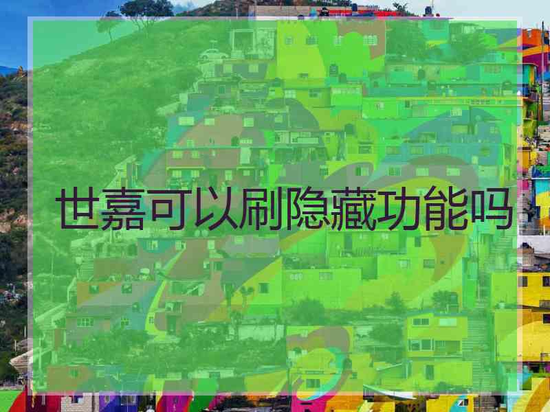 世嘉可以刷隐藏功能吗