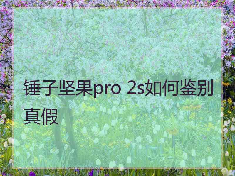 锤子坚果pro 2s如何鉴别真假