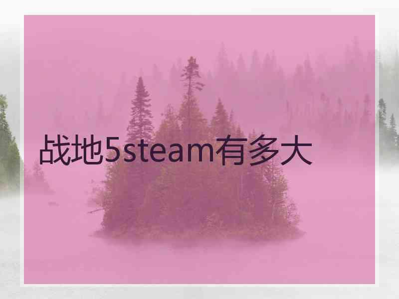 战地5steam有多大