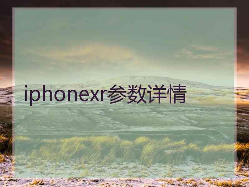 iphonexr参数详情