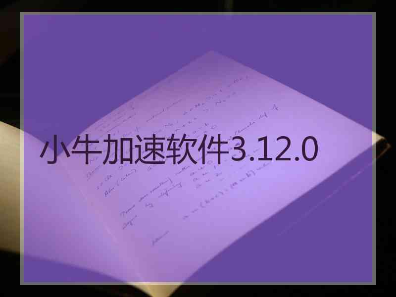 小牛加速软件3.12.0