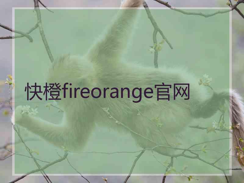 快橙fireorange官网