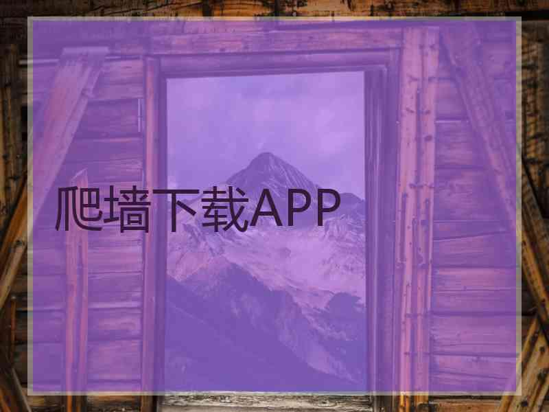 爬墙下载APP