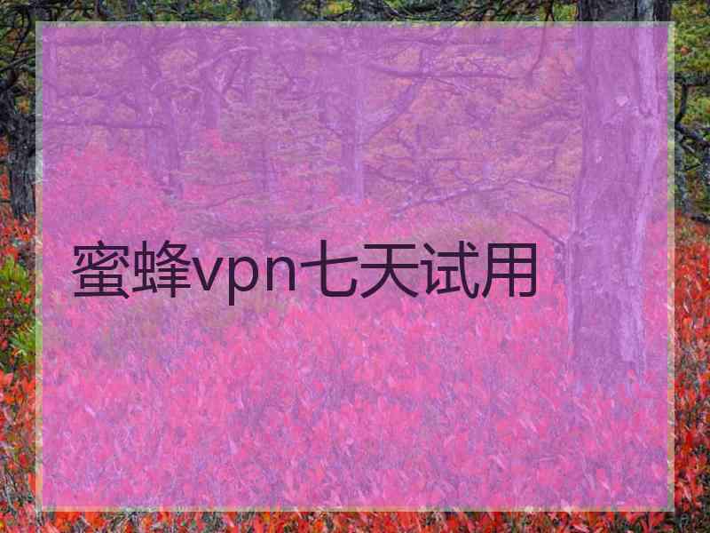 蜜蜂vpn七天试用