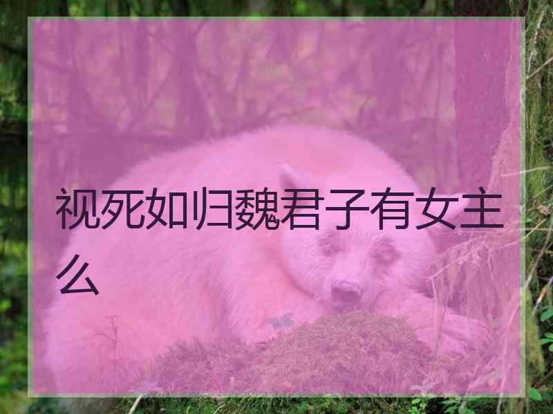 视死如归魏君子有女主么