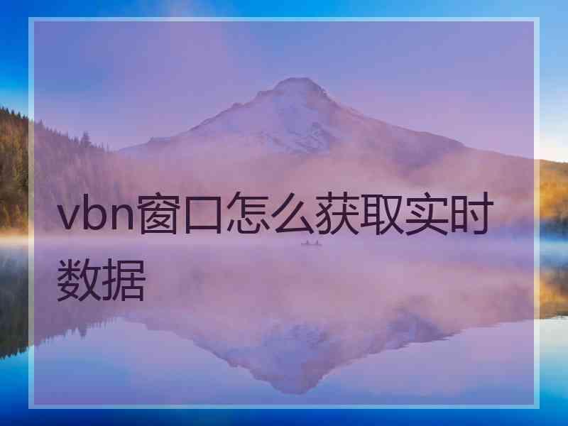 vbn窗口怎么获取实时数据