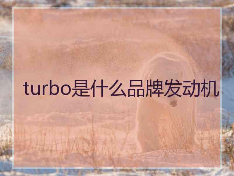 turbo是什么品牌发动机