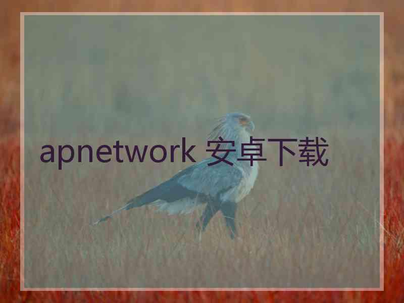 apnetwork 安卓下载