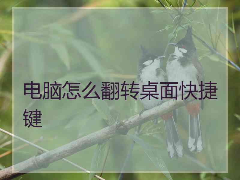 电脑怎么翻转桌面快捷键