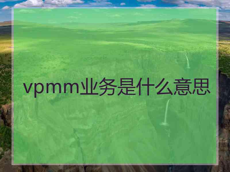 vpmm业务是什么意思