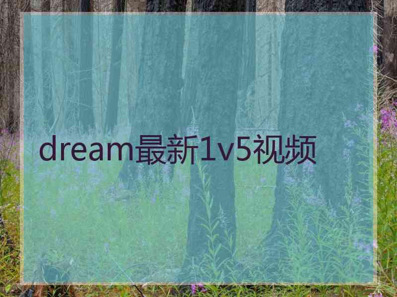 dream最新1v5视频