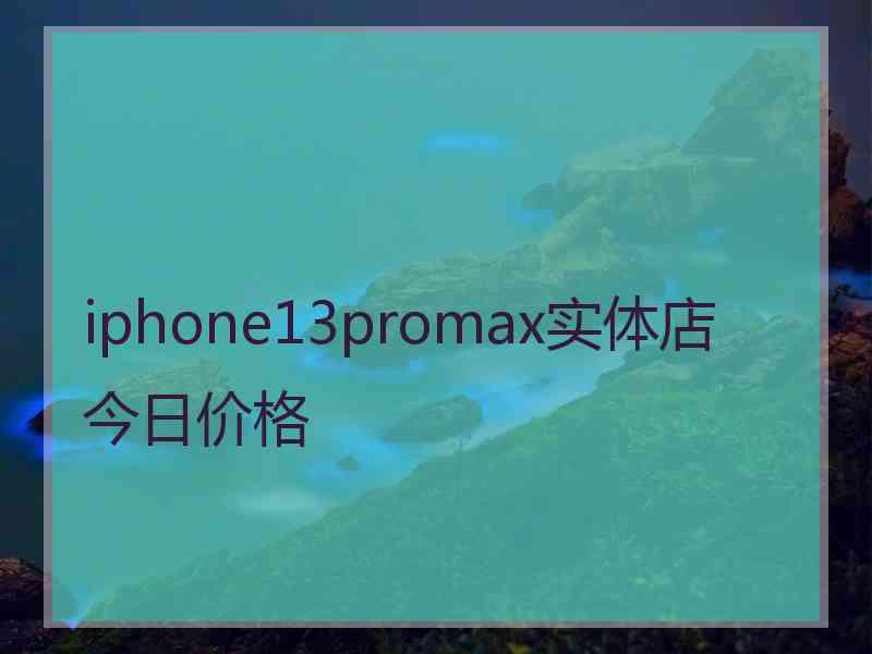 iphone13promax实体店今日价格