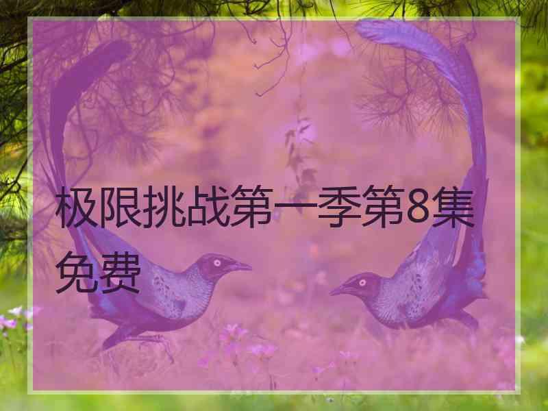 极限挑战第一季第8集免费